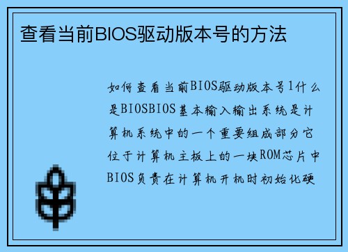 查看当前BIOS驱动版本号的方法
